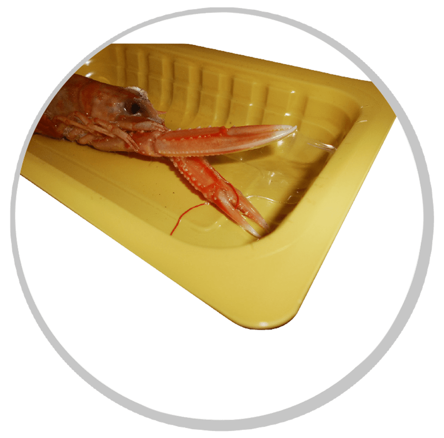 termoformatrice skin, linee per il confezionamento alimentare, fondo rigido, film sottile